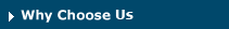 Why Choose Selman & Company